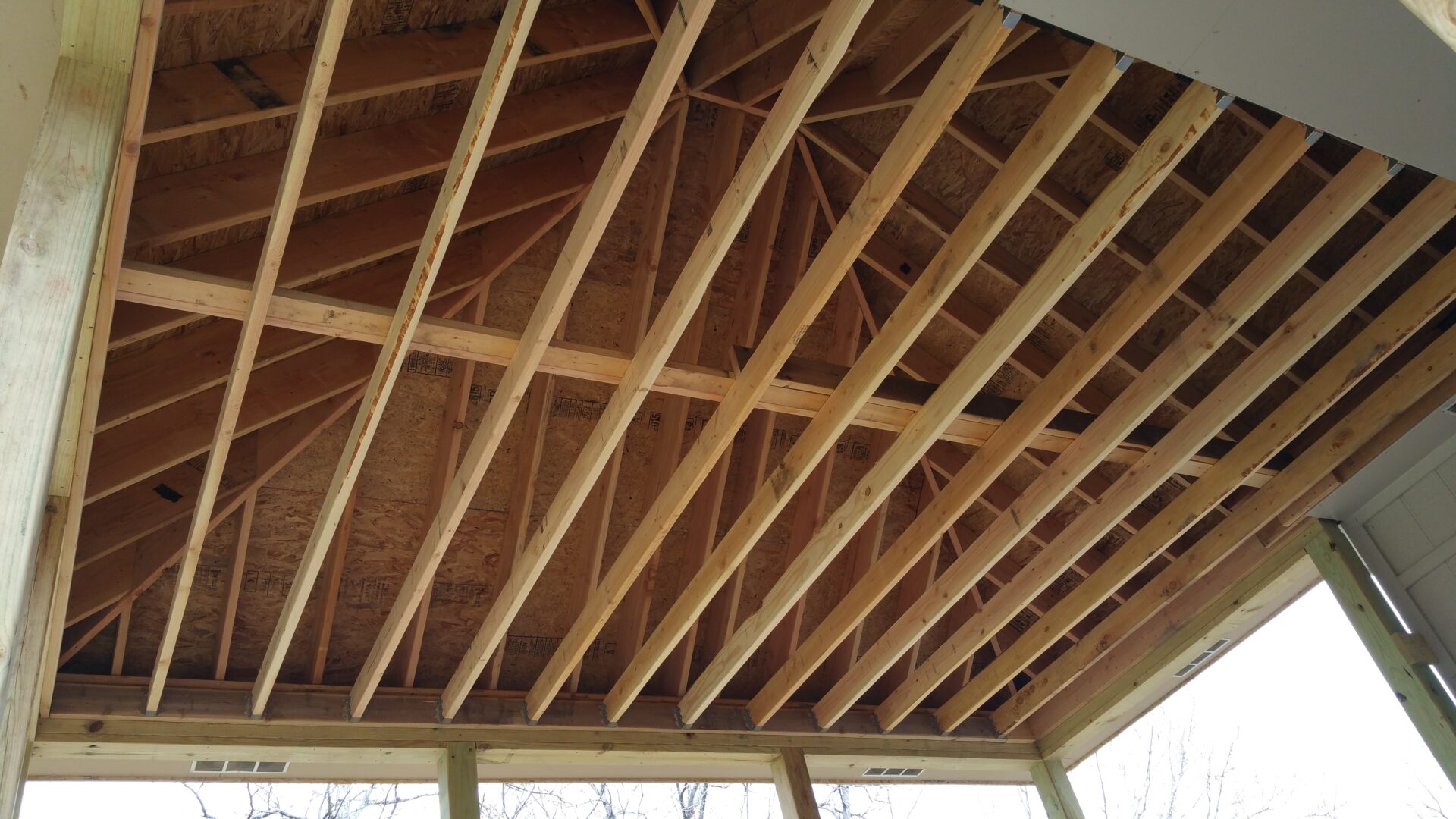 Wooden rafters and beams forming the roof frame of a building under construction.