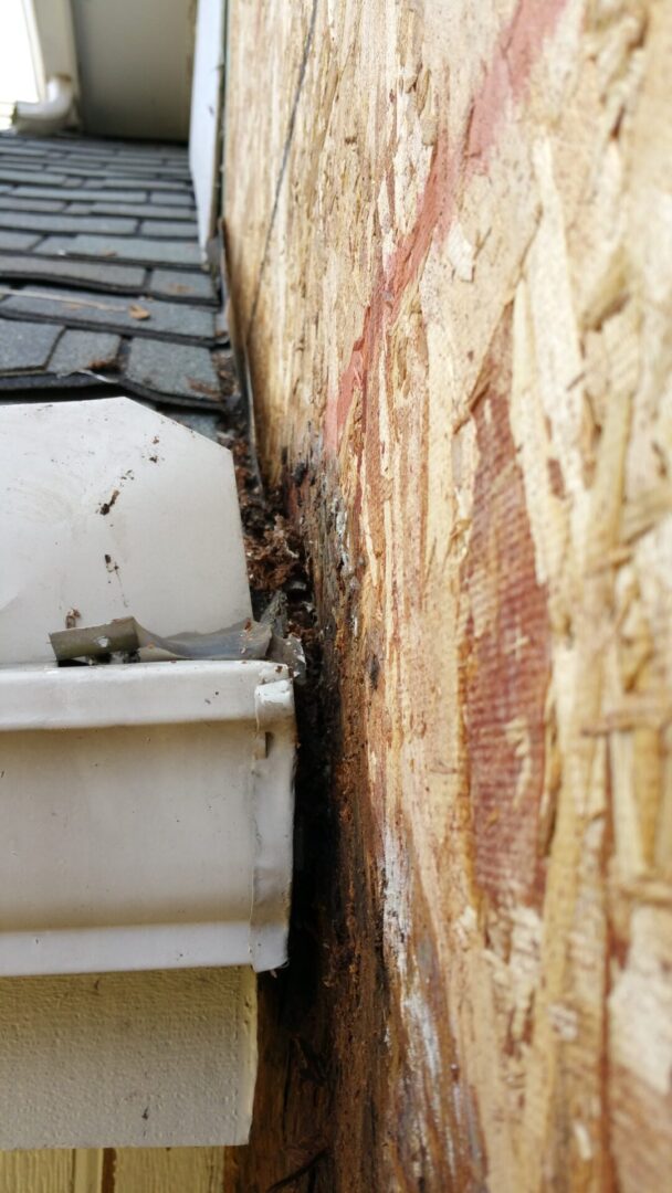 Close-up of a wasp nest inside a gutter corner near a wooden wall.