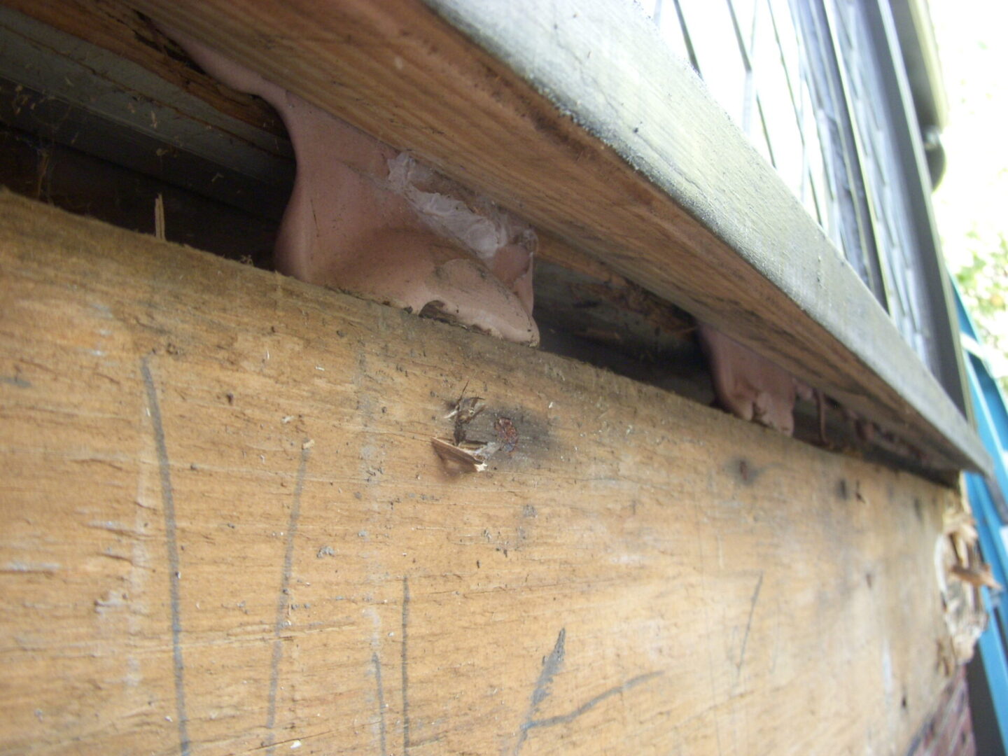 A small animal peeks through a wooden gap.