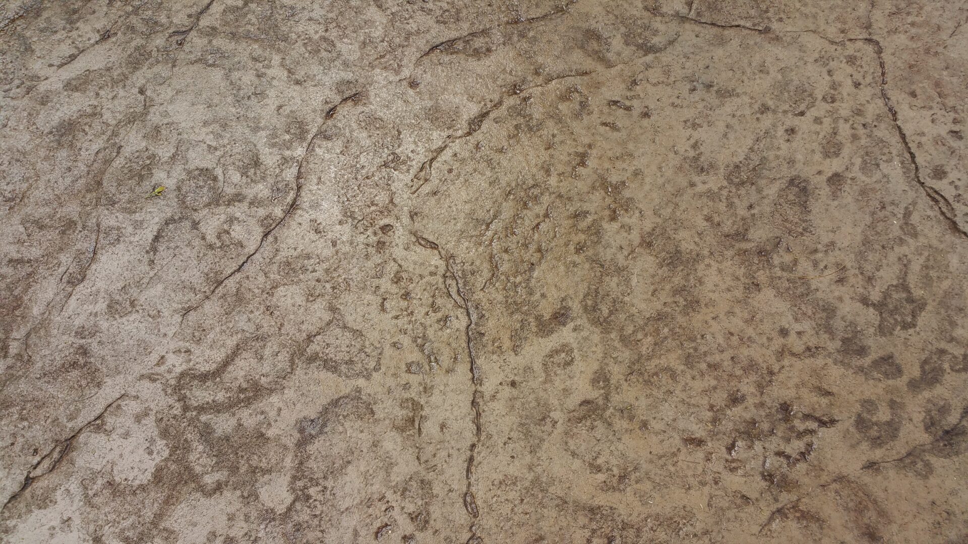 Close-up of textured stone surface with natural patterns.